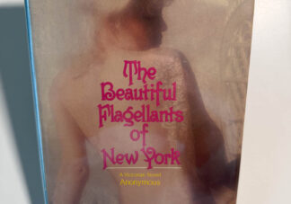 A picture of the book The Beautiful Flagellants of New York