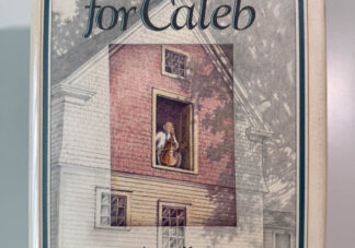 Picture of front of the Anne Tyler's Searching for Caleb