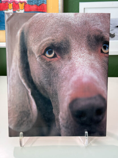 Various photos of the coffee table photobook William Wegman Polaroids.