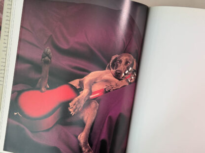 Various photos of the coffee table photobook William Wegman Polaroids.